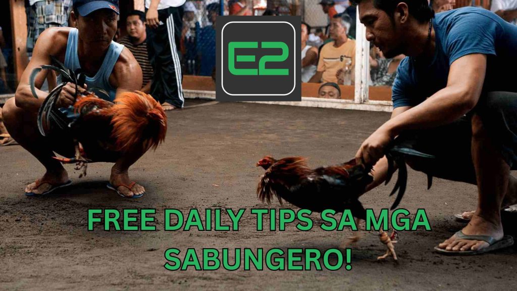 sabungero
