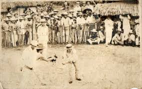 sabong derby