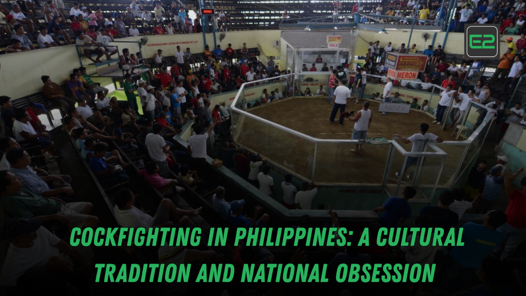 cockfighting in philippines