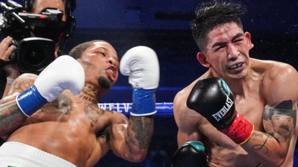 BOXING KNOCKOUTS
