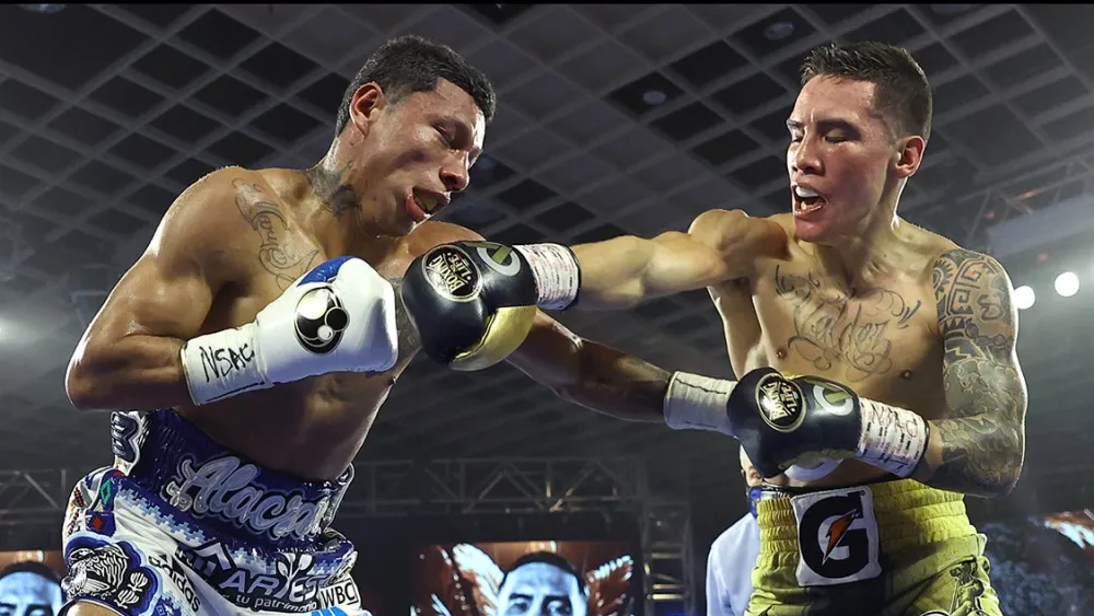 BOXING KNOCKOUTS