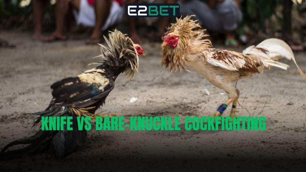 Knife vs Bare-Knuckle Cockfighting