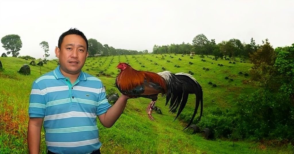 Champion Gamefowl Breeders