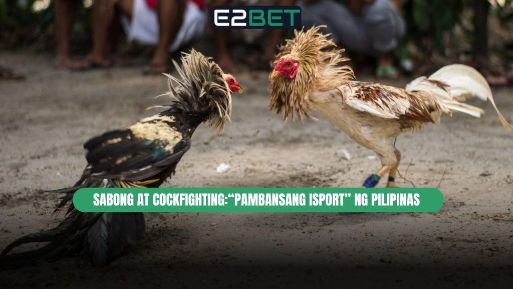 Sabong at Cockfighting