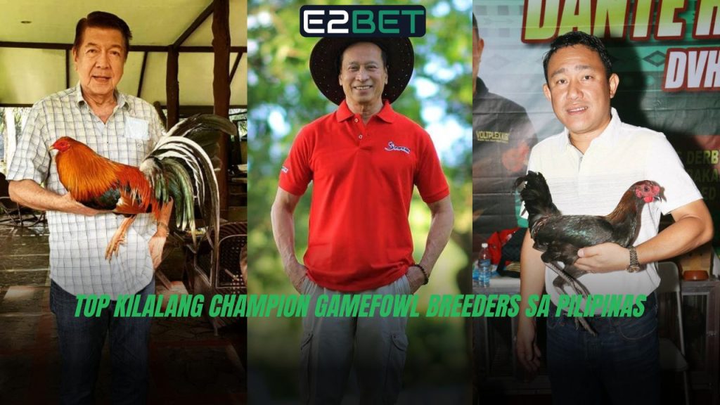 Champion Gamefowl Breeders