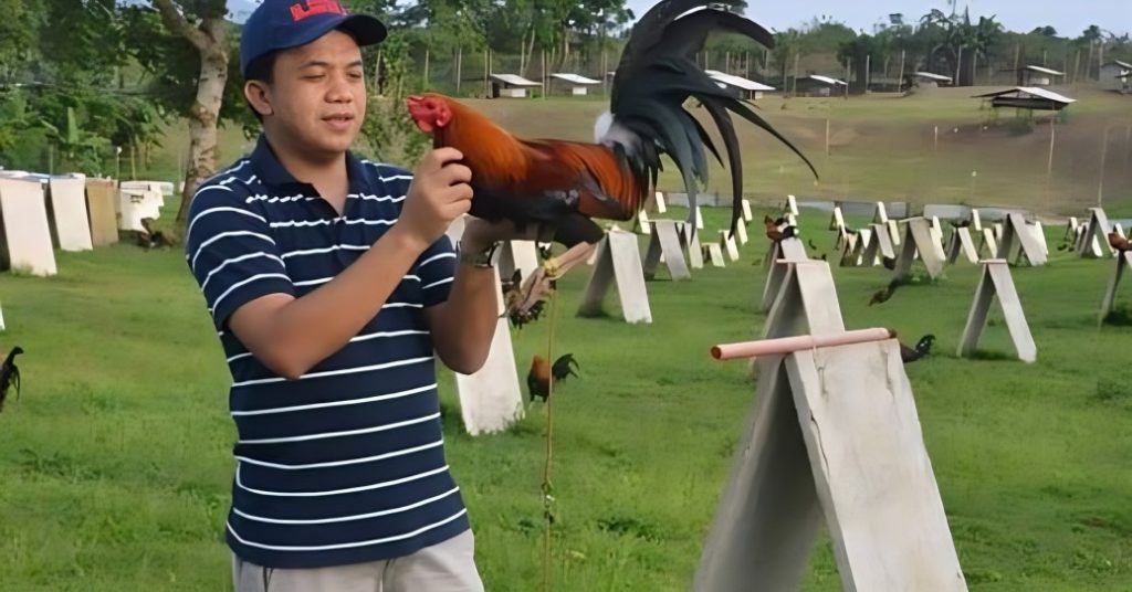 Champion Gamefowl Breeders