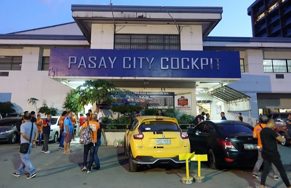 Sabong at Cockfighting