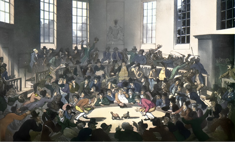 Cockfighting Philippines vs USA