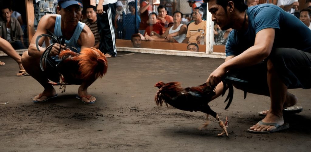 Tradisyunal na Sabong